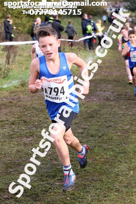 Boys under-13s National Cross Country Relay, Berry Hill Park, Mansfield. Photo:  David T. Hewitson/Sports for All Pics
